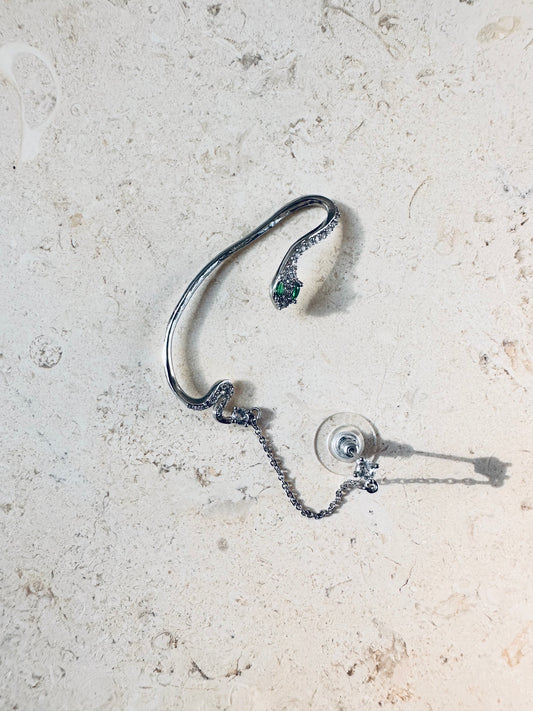 Silver Snake